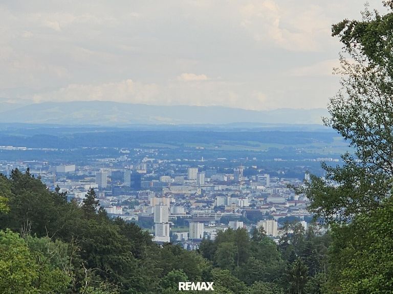 mit Blick auf Linz