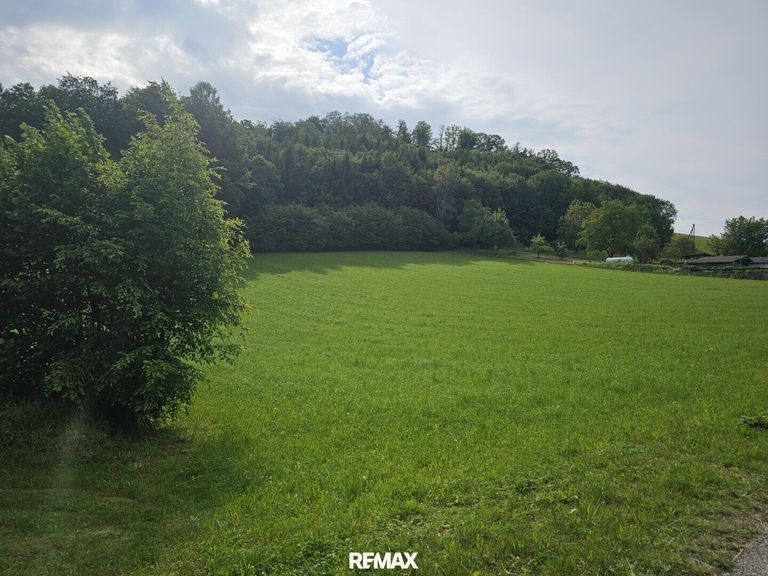 leichte Hanglage
