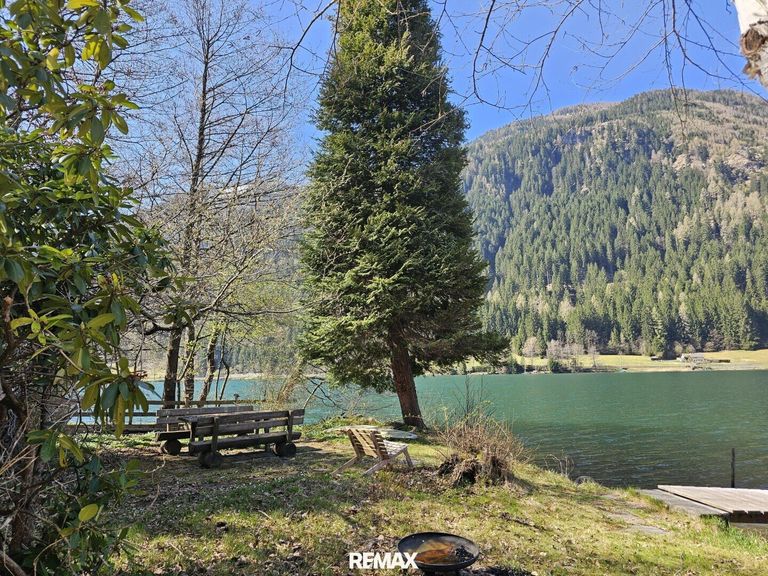Frühling am Seegrund