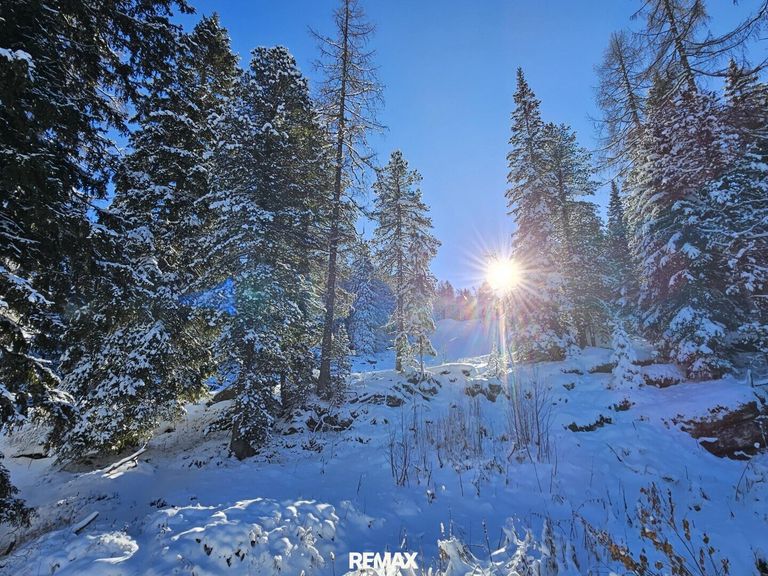 Ski-in & Ski-out - auf zur Märchenwaldpiste