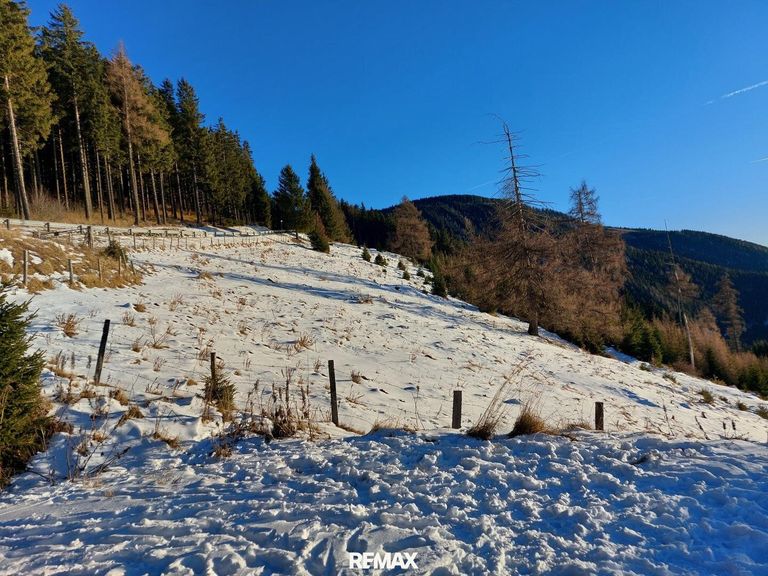 Bauland in sonniger Aussichtslage auf 1.500 m 