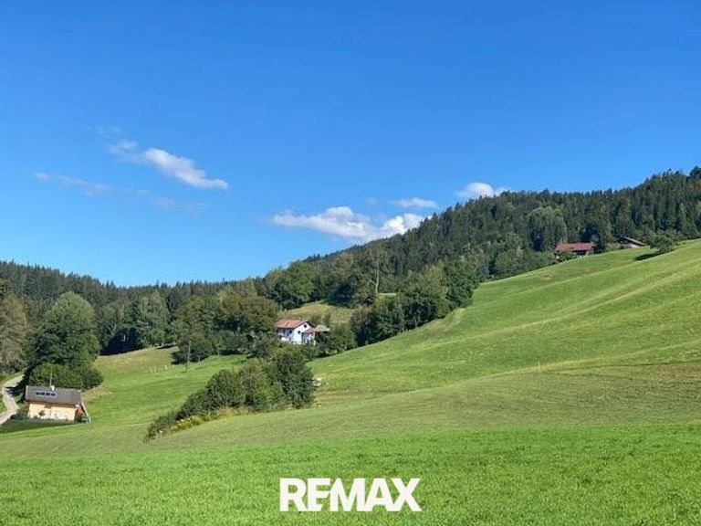 Ruhiges Grundstück in der Natur 