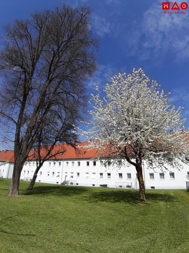 Innenhof