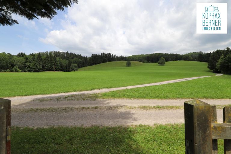 Aussicht vorne