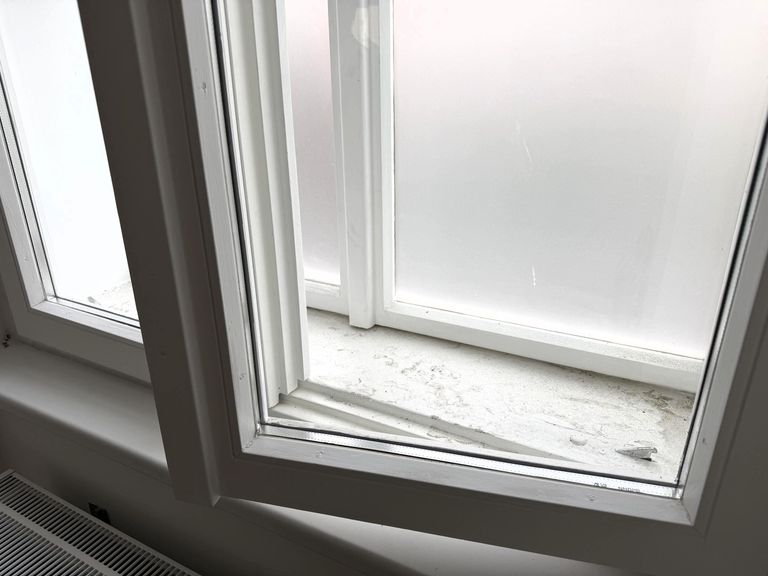 Ausstattungsdetail / neue Fenster
