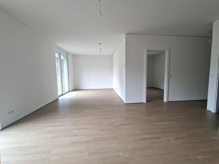 Wohn- Esszimmer