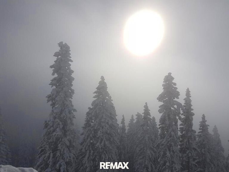 Winter, Sonne, Nebel, Schnee