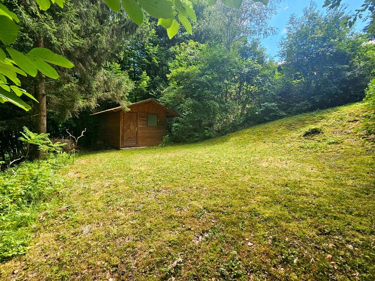 ebene Wiesenfläche im Wald