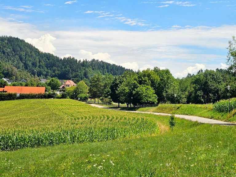 am Golfpark Klopeiner See - Südkärnten vorbei