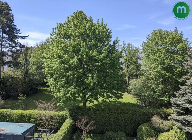 Blick von der Terrasse