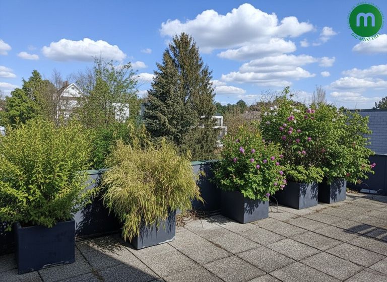 Blick von der Terrasse
