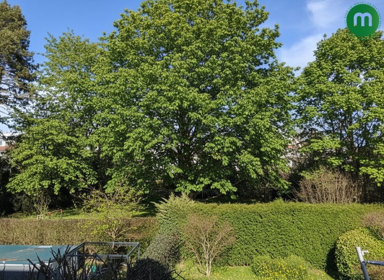 Blick vom Balkon