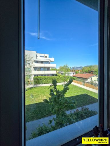 Ausblick