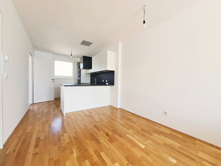 geräumige Einbauküche/Wohnzimmer