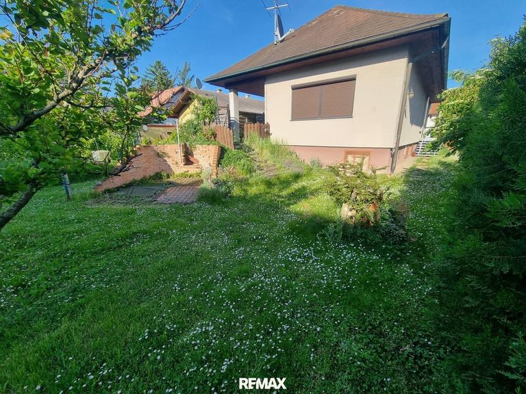 Haus-hinten 