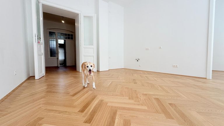 Wohnraum mit Blick in den Vorraum