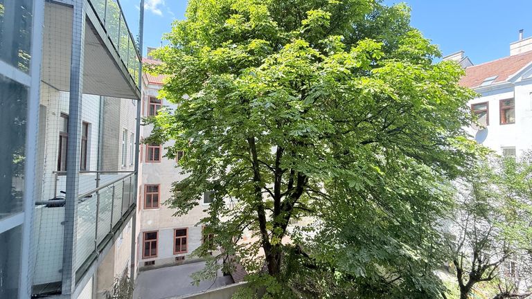 "Vor Ihrer Nase.."