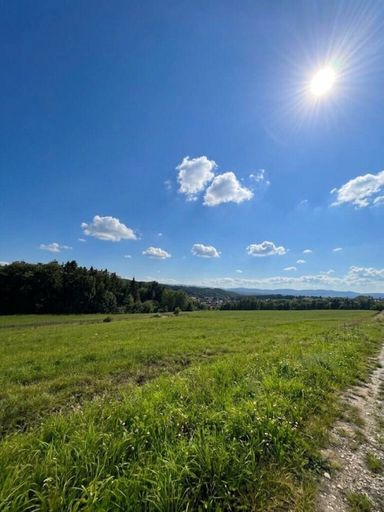 Blick Umgebung Richtung SW