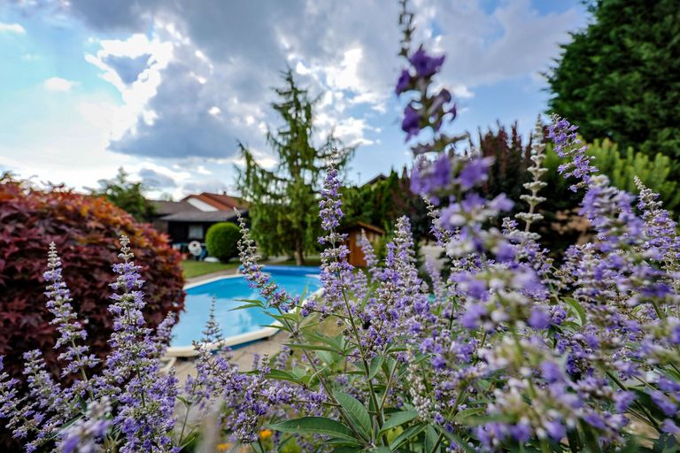 Wohlfühlfaktor im Garten