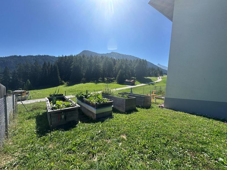Gemeinschaftsgarten