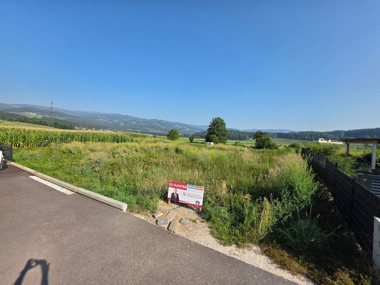 Blick auf Schloss Weißenau