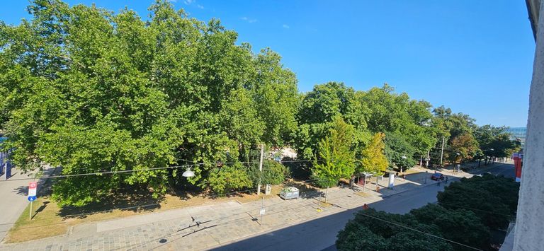 Ausblick