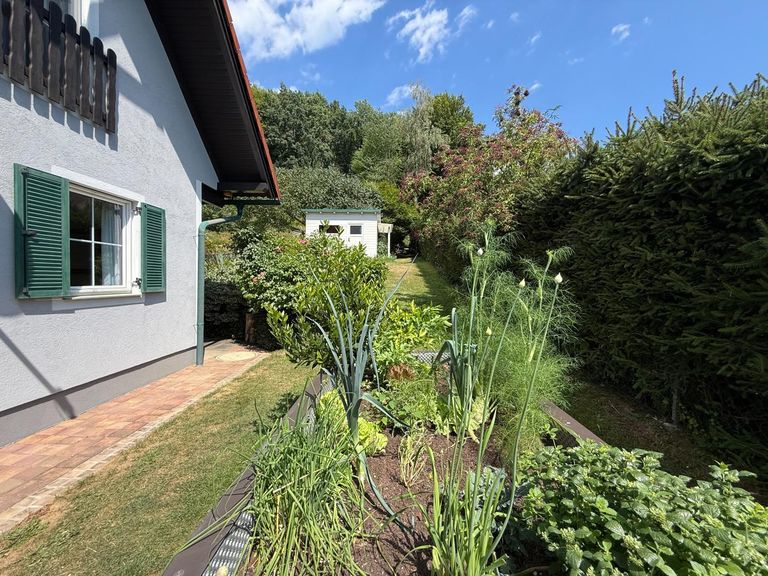 Gemüse-, Kräutergarten