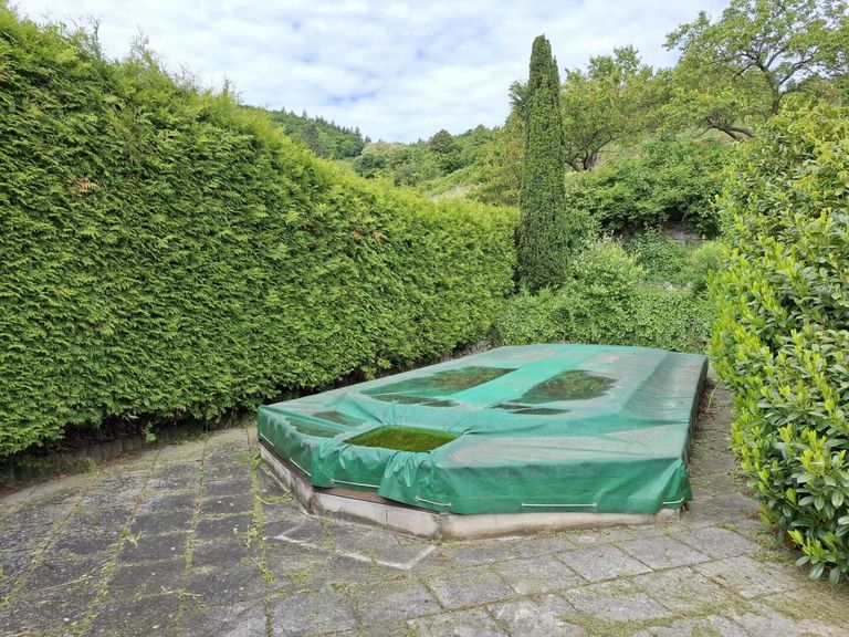 Pool im Garten