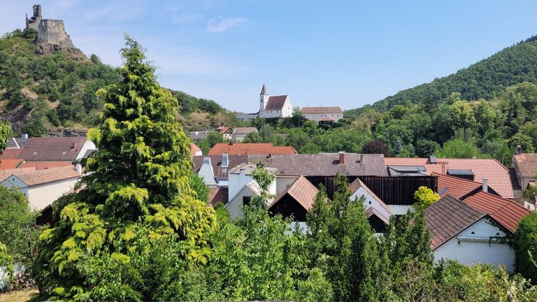 Sicht auf Ruine Senftenberg