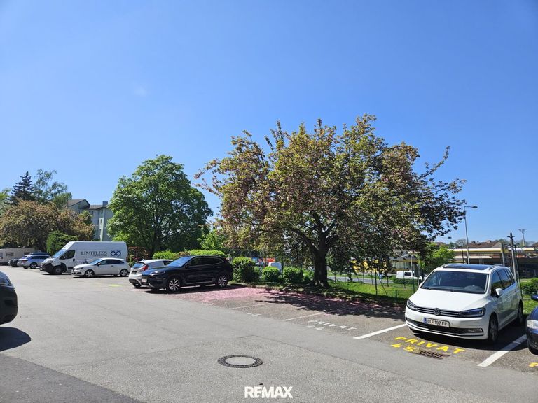 Parkplatz Freifläche