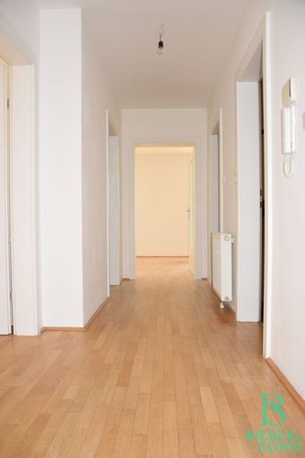 Vorraum/Blick Wohnraum