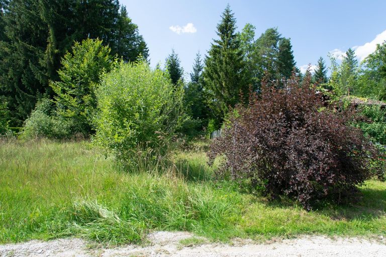 Baugrund mit sehr schöner Aussicht