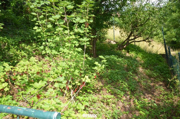 Garten Rückseite 3