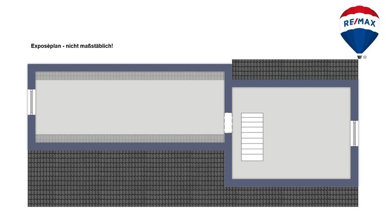 Plan DG