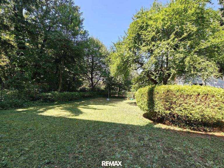 großer gepflegter Gemeinschaftsgarten