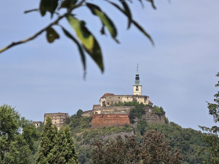 Blick zur Burg Güssing