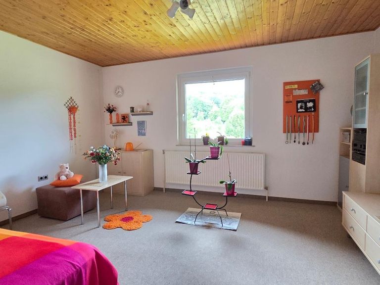Zimmer2, DG