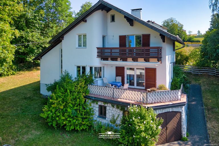 Blick auf das Haus DJI_0365