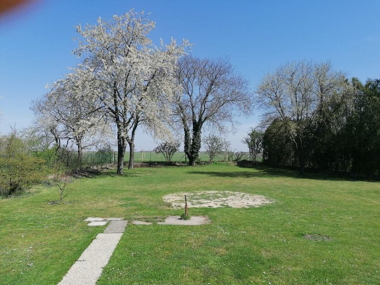 hinterer Garten