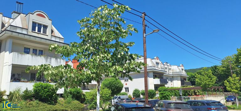 Moderne Wohnhausanlage angrenzend ans Villenviertel