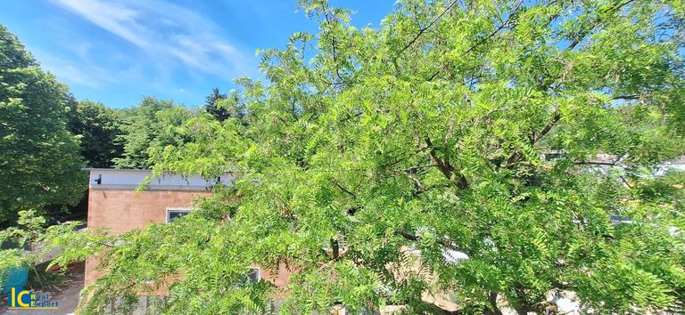 Ausblick ins Grüne