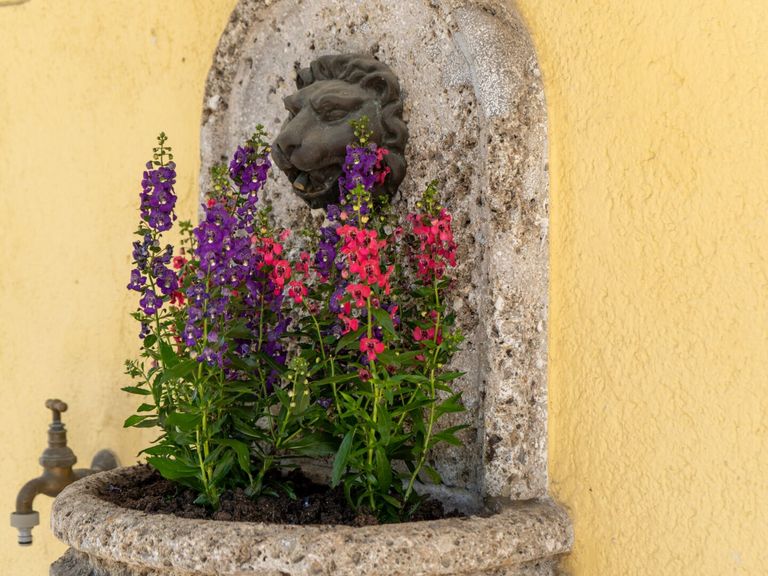 Wandbrunnen im Garten