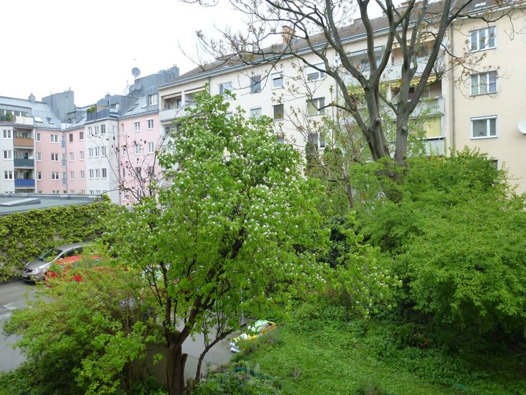Ausblick