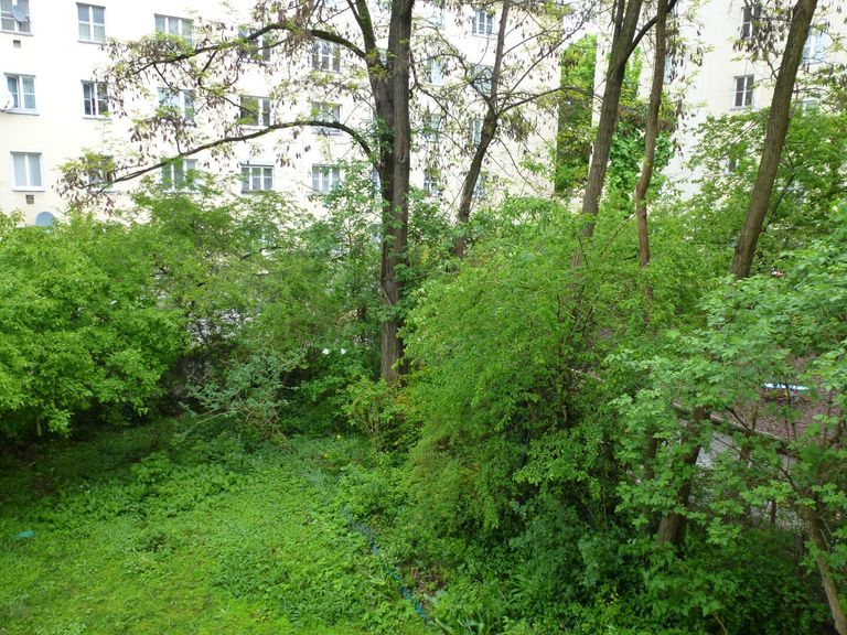 Kleiner Hausgarten zur Mitbenützung