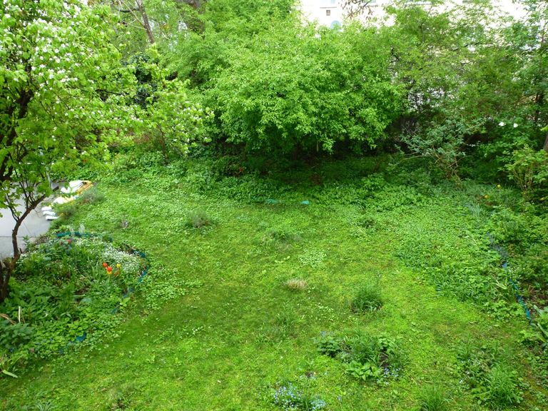 Kleiner Hausgarten zur Mitbenützung