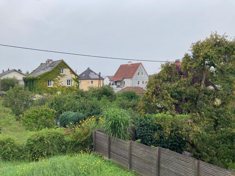 Ausblick