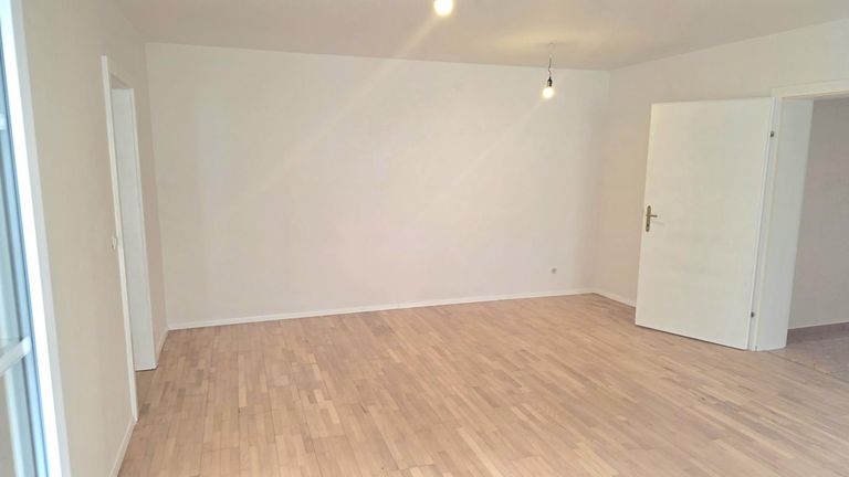 ZIMMER 1