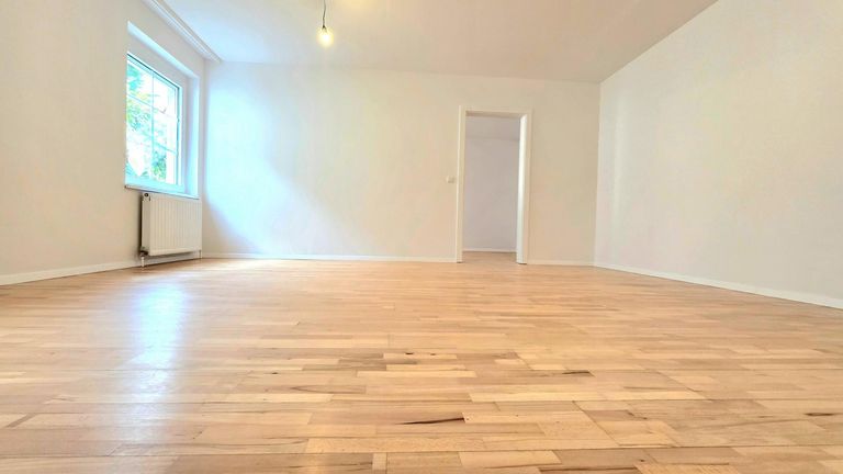ZIMMER 1.