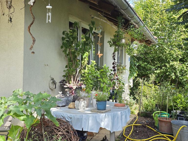 Haus mit Garten