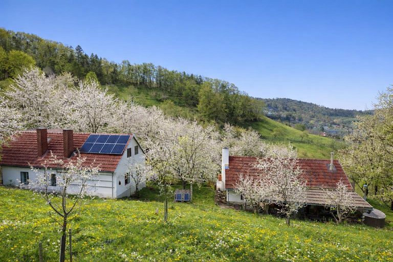 Blick auf die Landwirtschaft